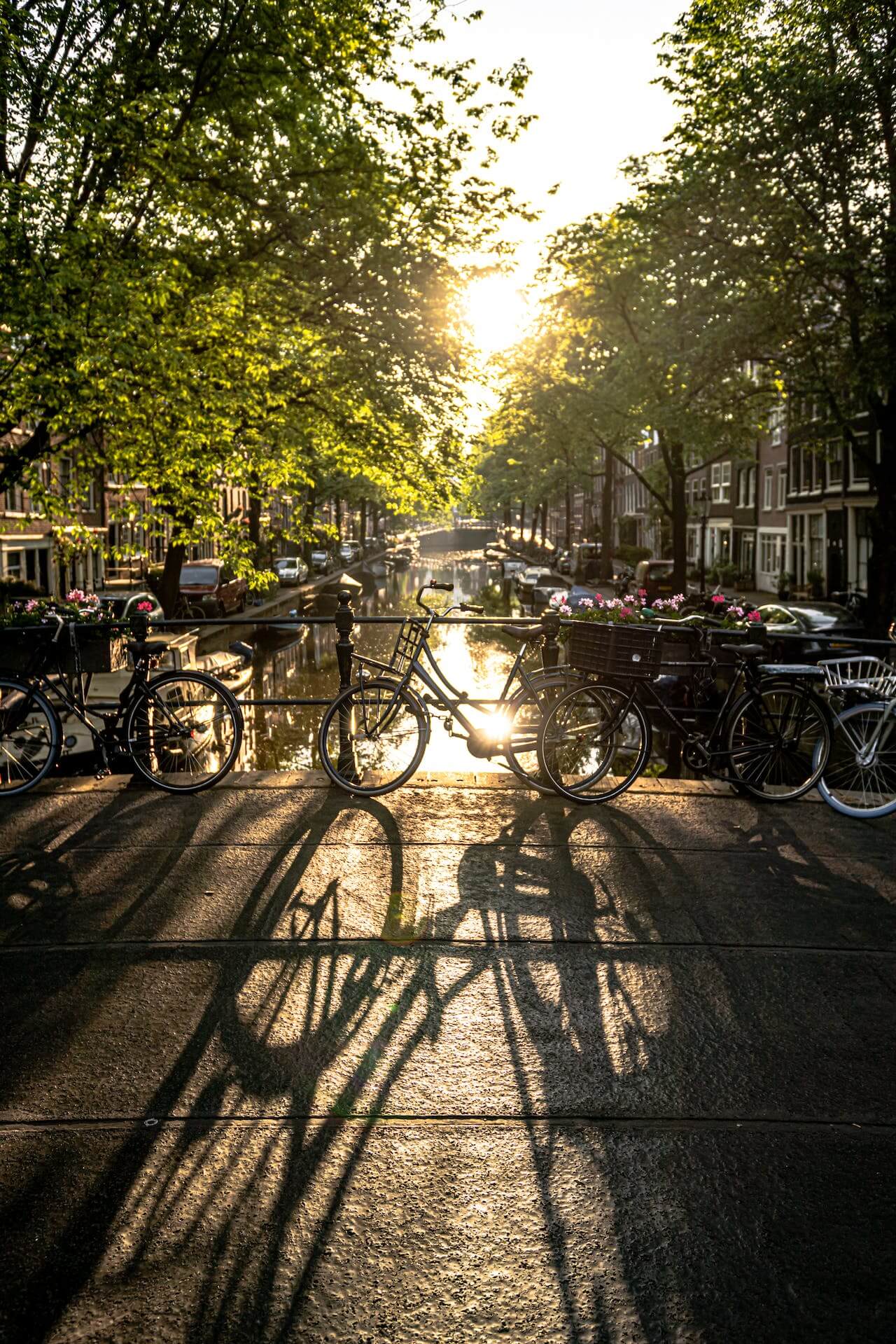 trends fietsen 2024