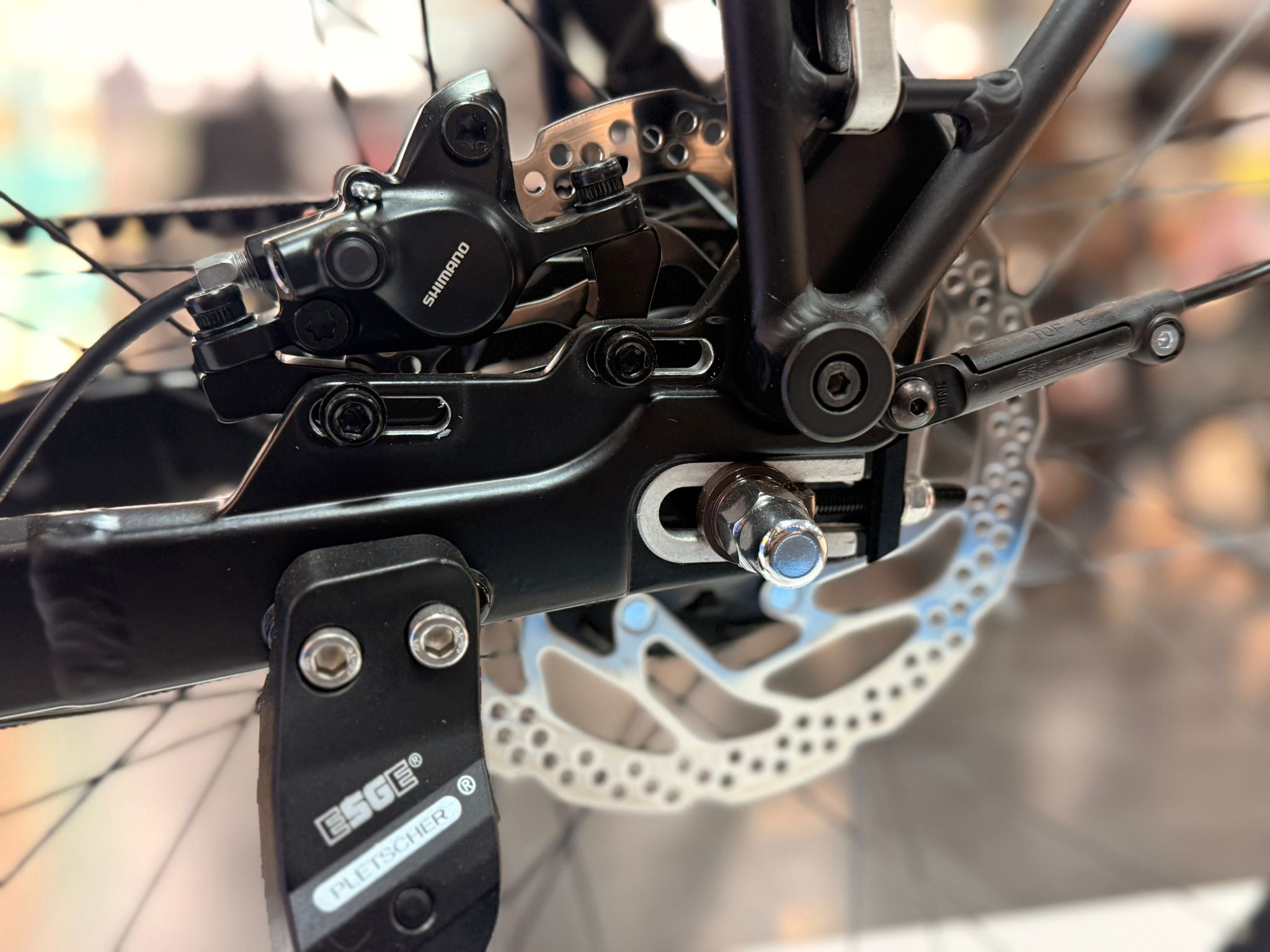 Trek District+ 4 Lowstep N8 Dames