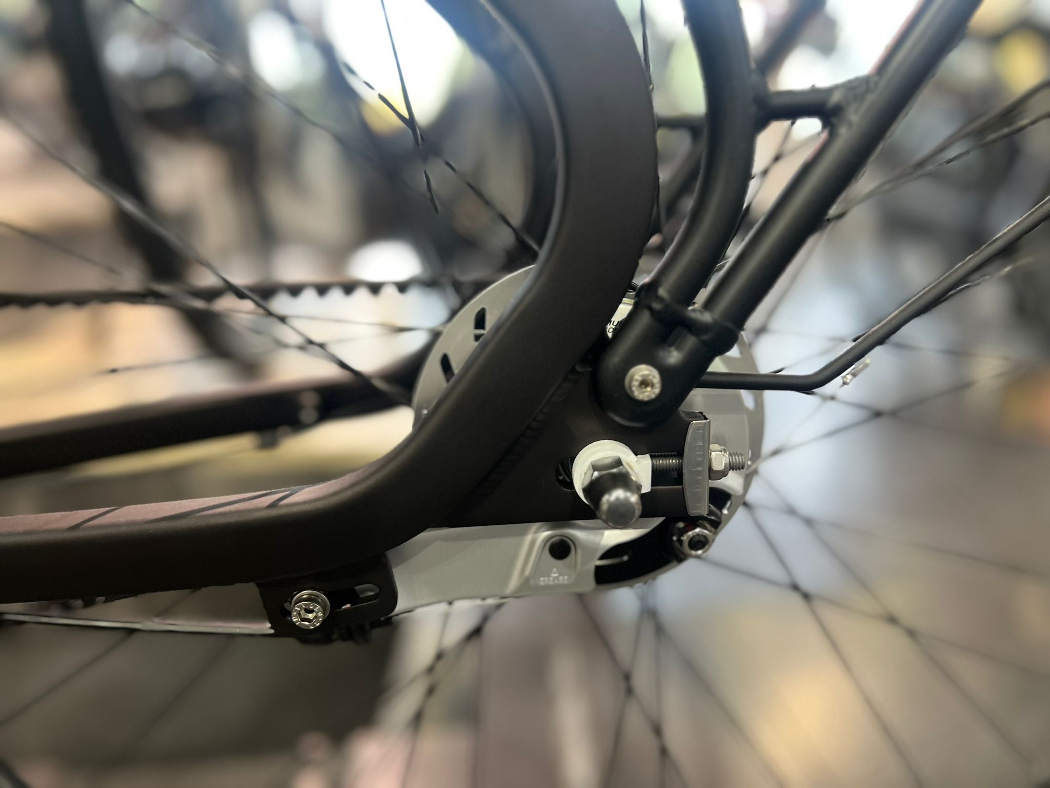 Cortina Common N7 Dames