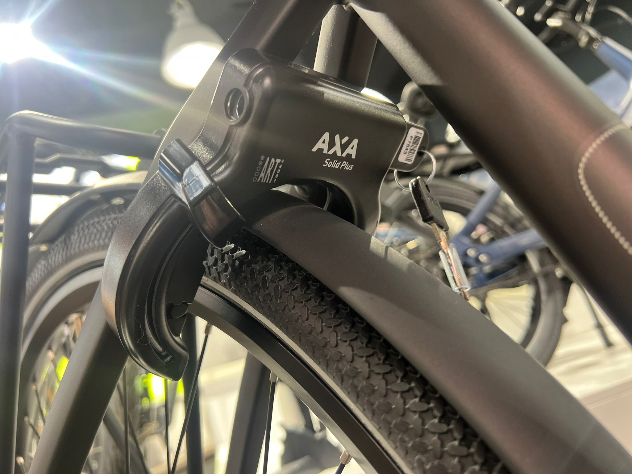 Cortina Common N7 Dames