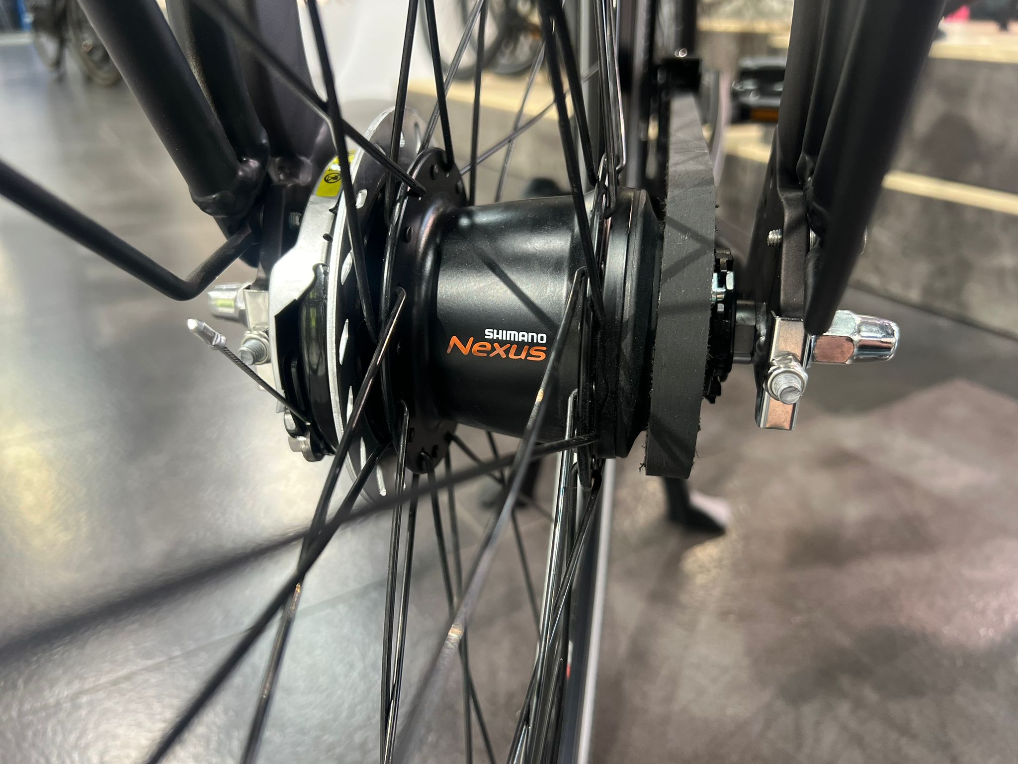 Cortina Common N7 Dames