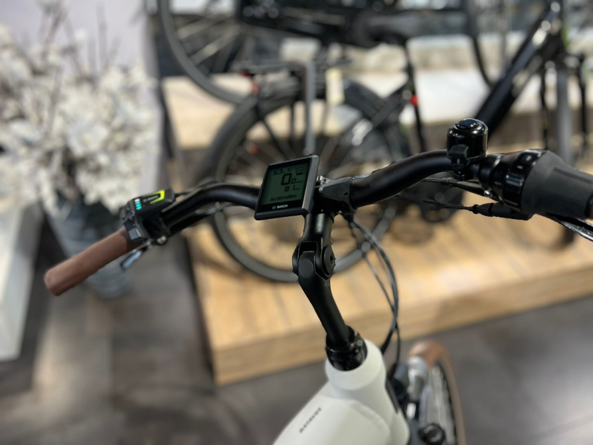 Batavus Altura E-Go PT Power Pro N5 Dames