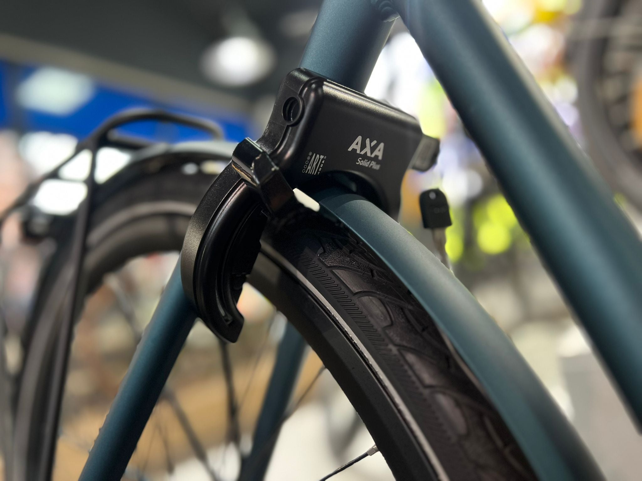 Cortina Mozzo N7 Dames