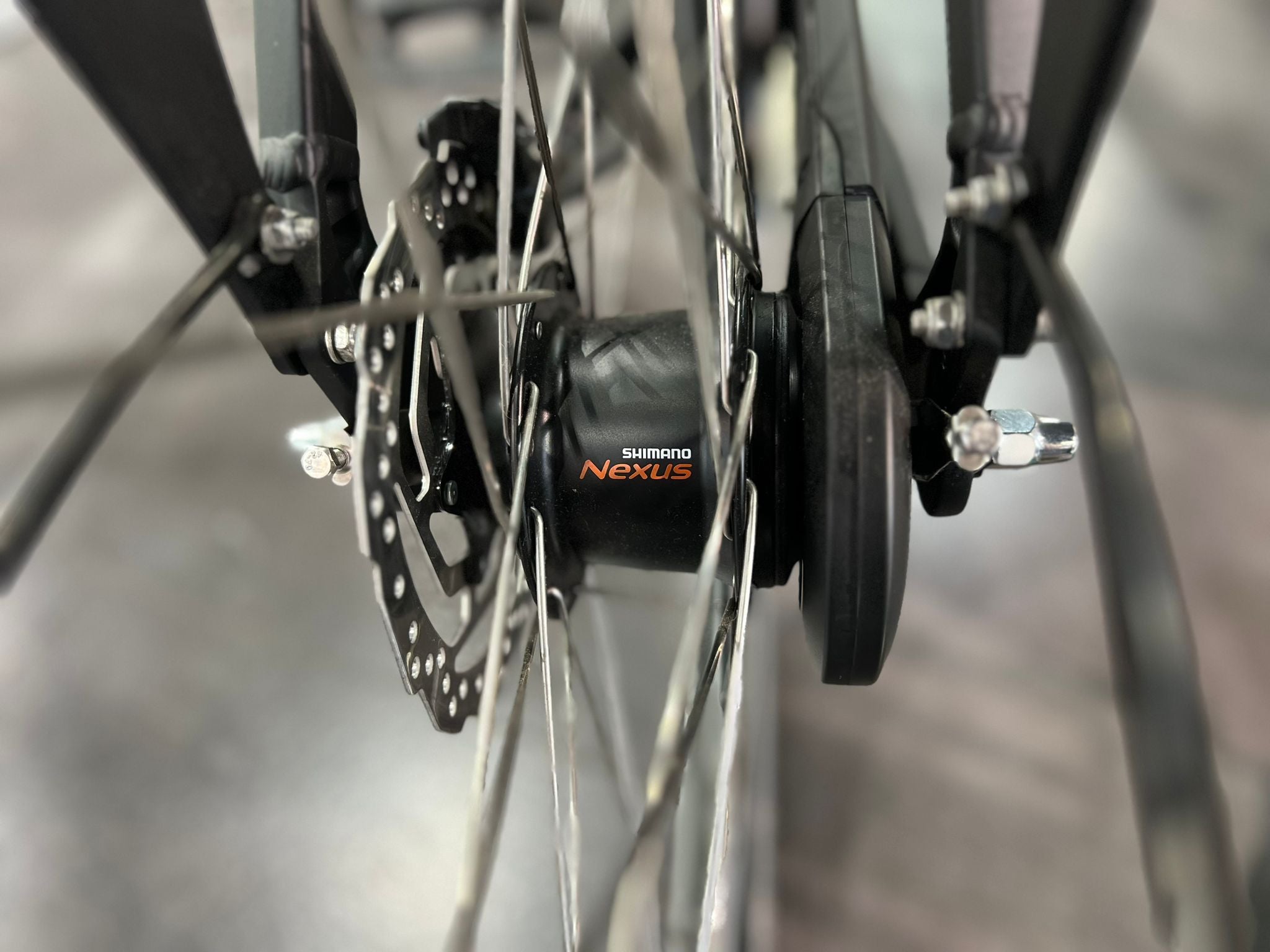 Cortina E-Tide N7 Dames