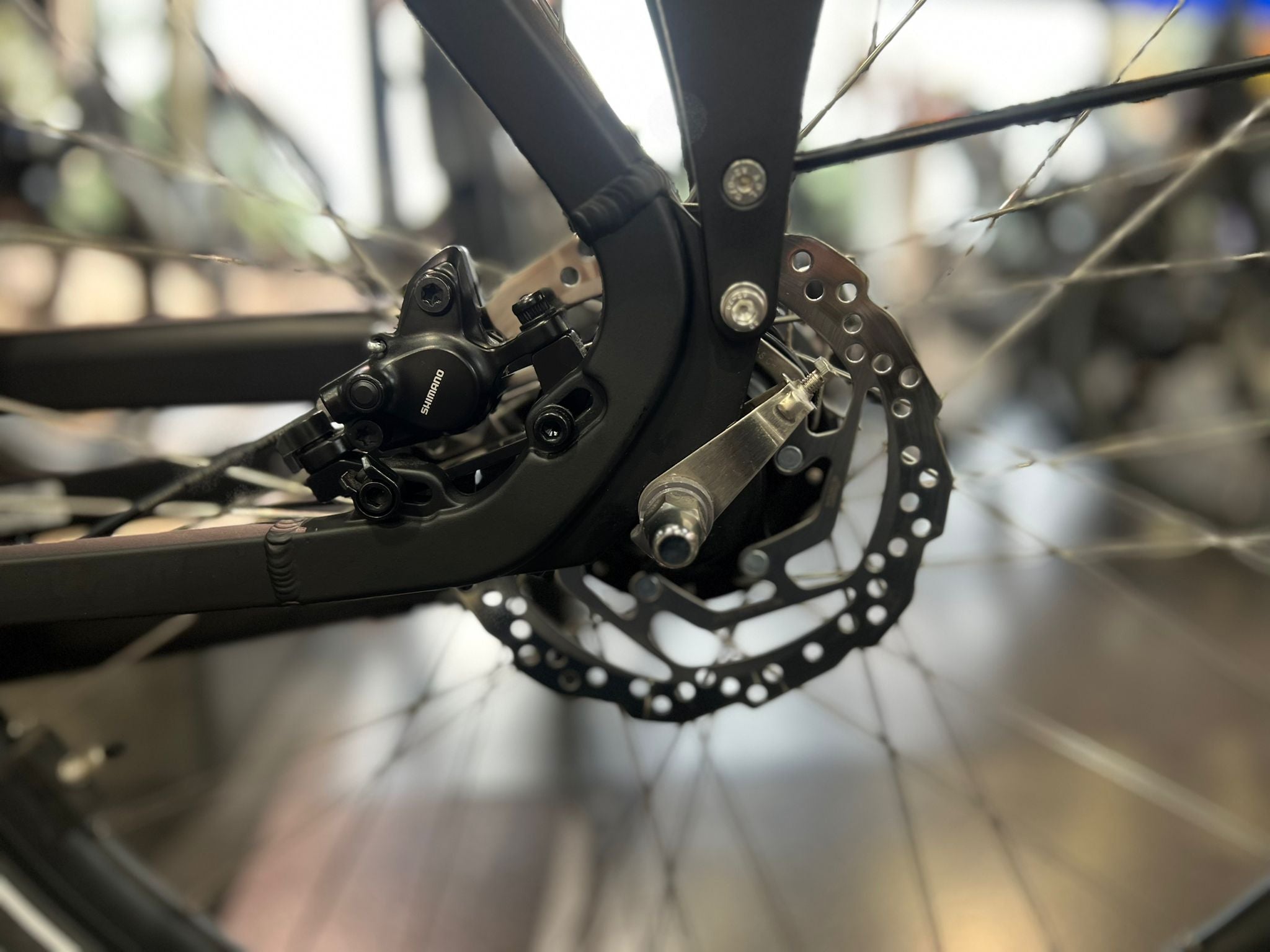 Cortina E-Tide N7 Dames