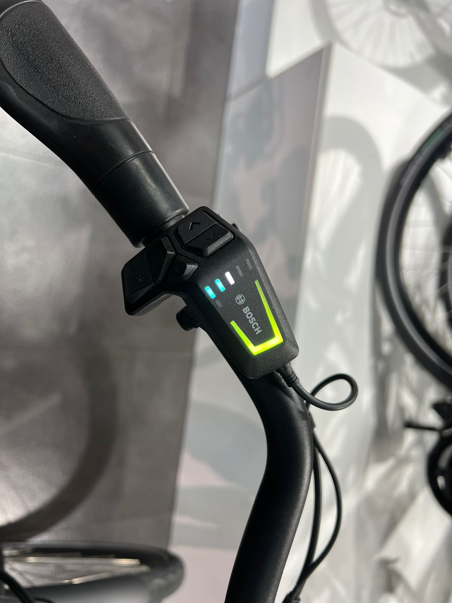 Cortina E-Tide N7 Dames