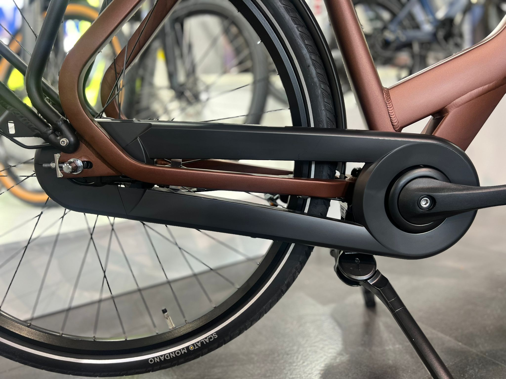 Cortina Common Family N7 Dames