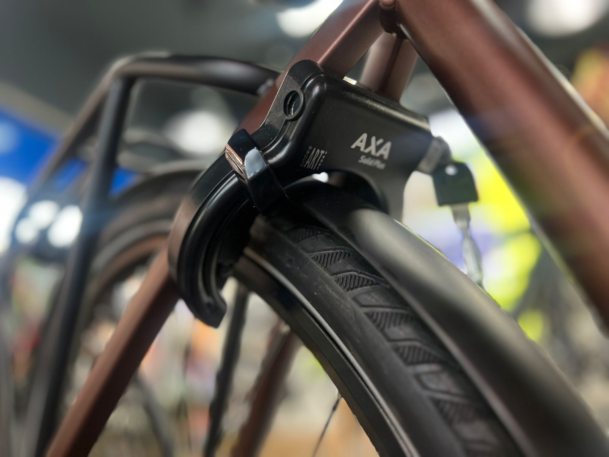 Cortina Common Family N7 Dames