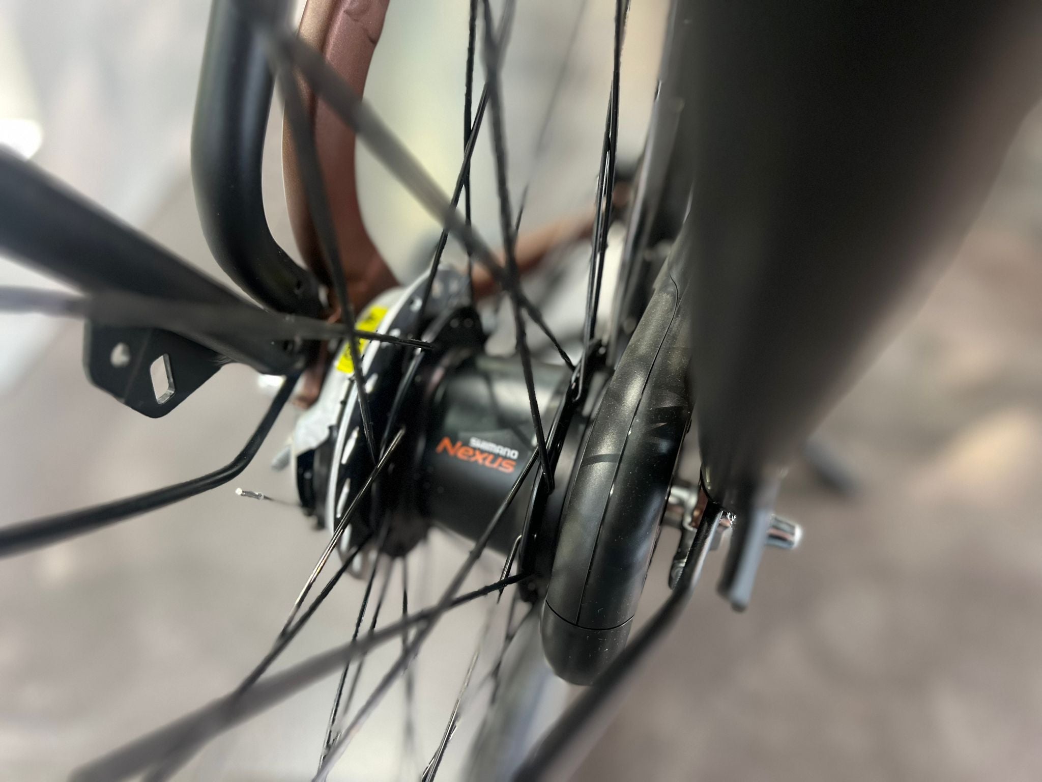 Cortina Common Family N7 Dames