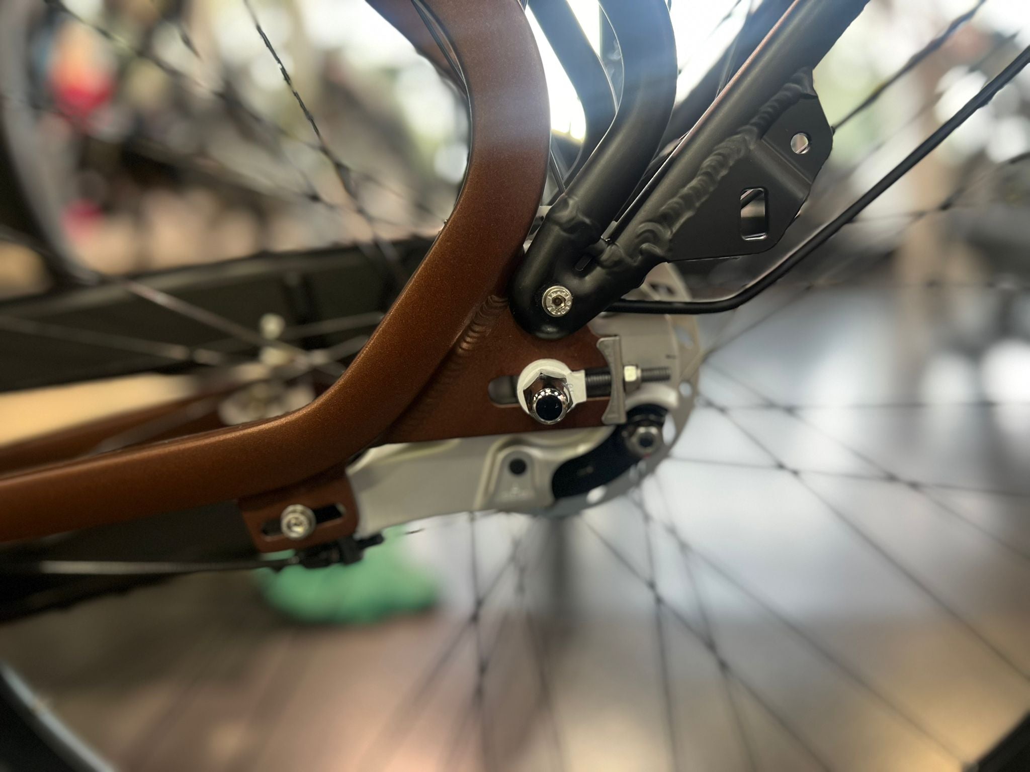 Cortina Common Family N7 Dames