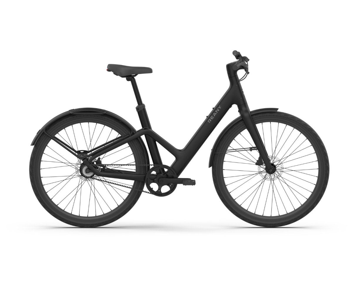 Reany Bike W1 N1 Dames