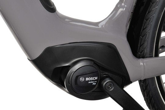 Batavus Altura E-Go Power N7 Dames