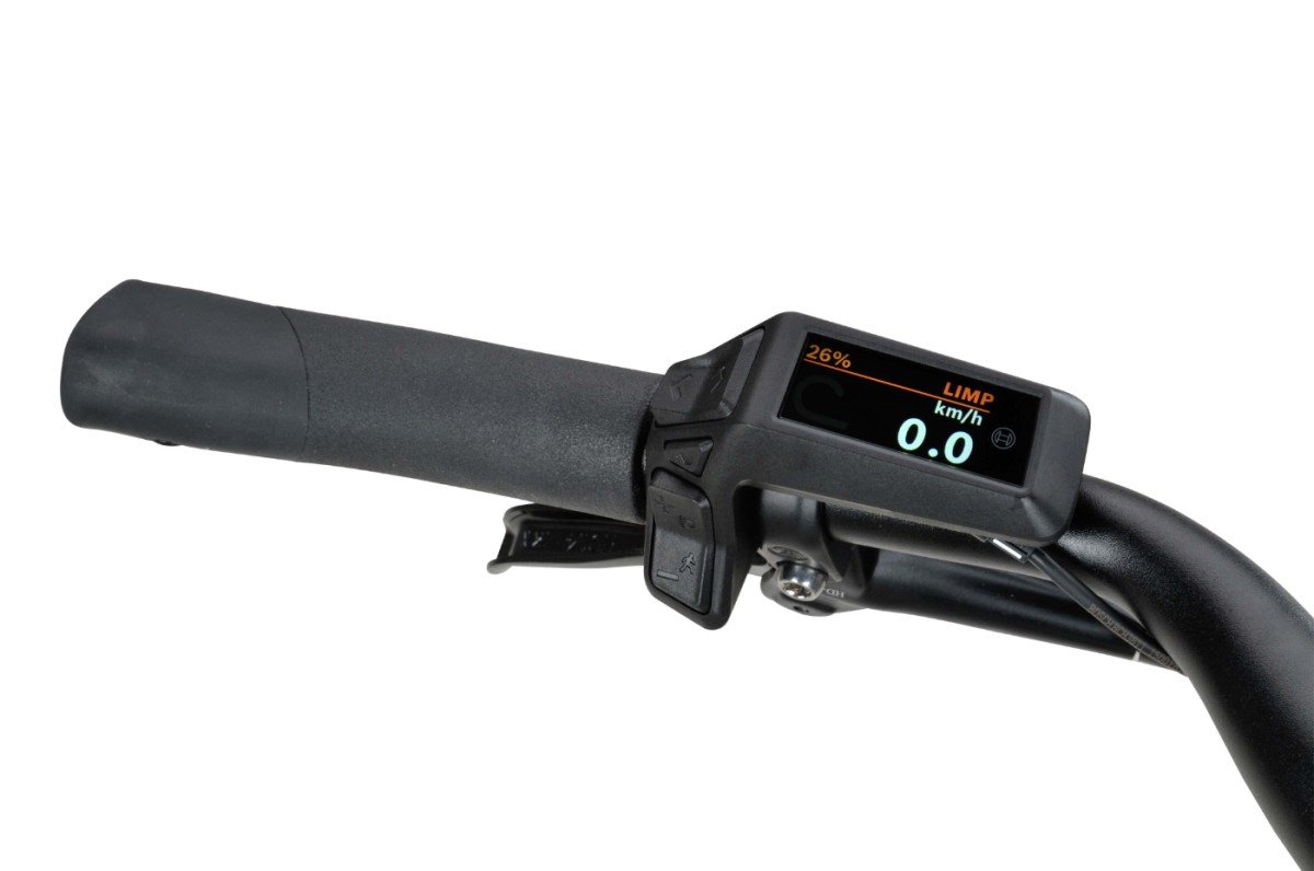 Batavus Altura E-go BES3 N7 Dames