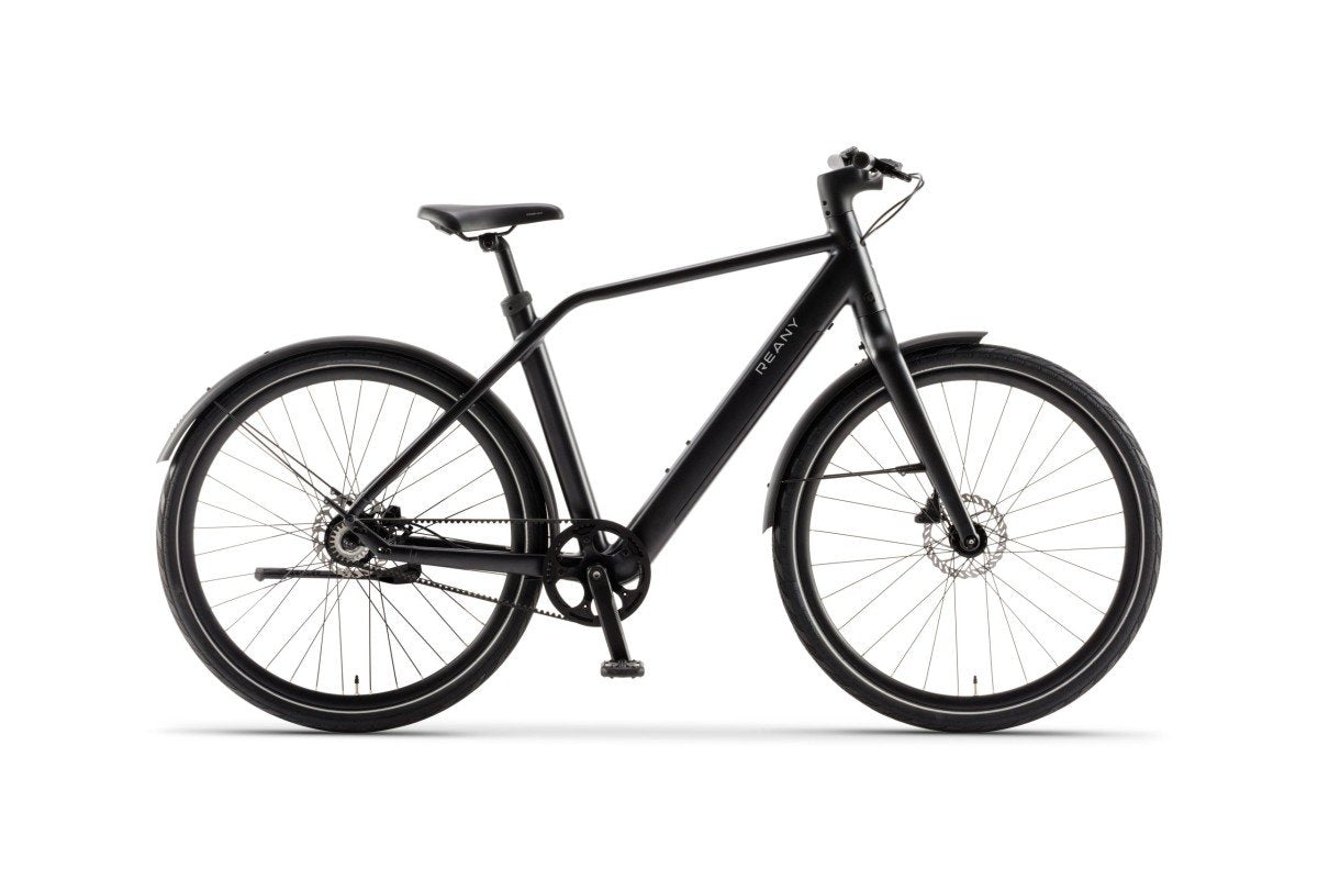 Reany N1 360 wh Heren