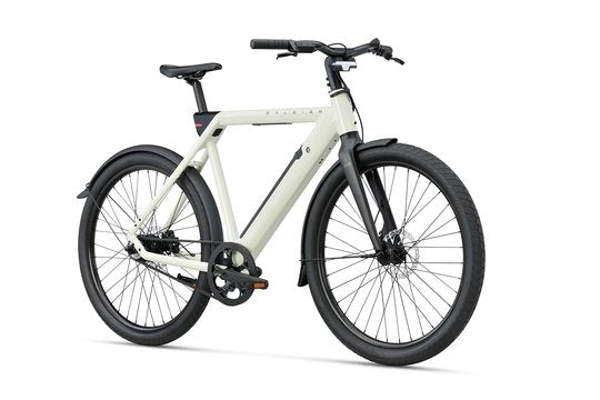Raleigh ONE N1 Heren