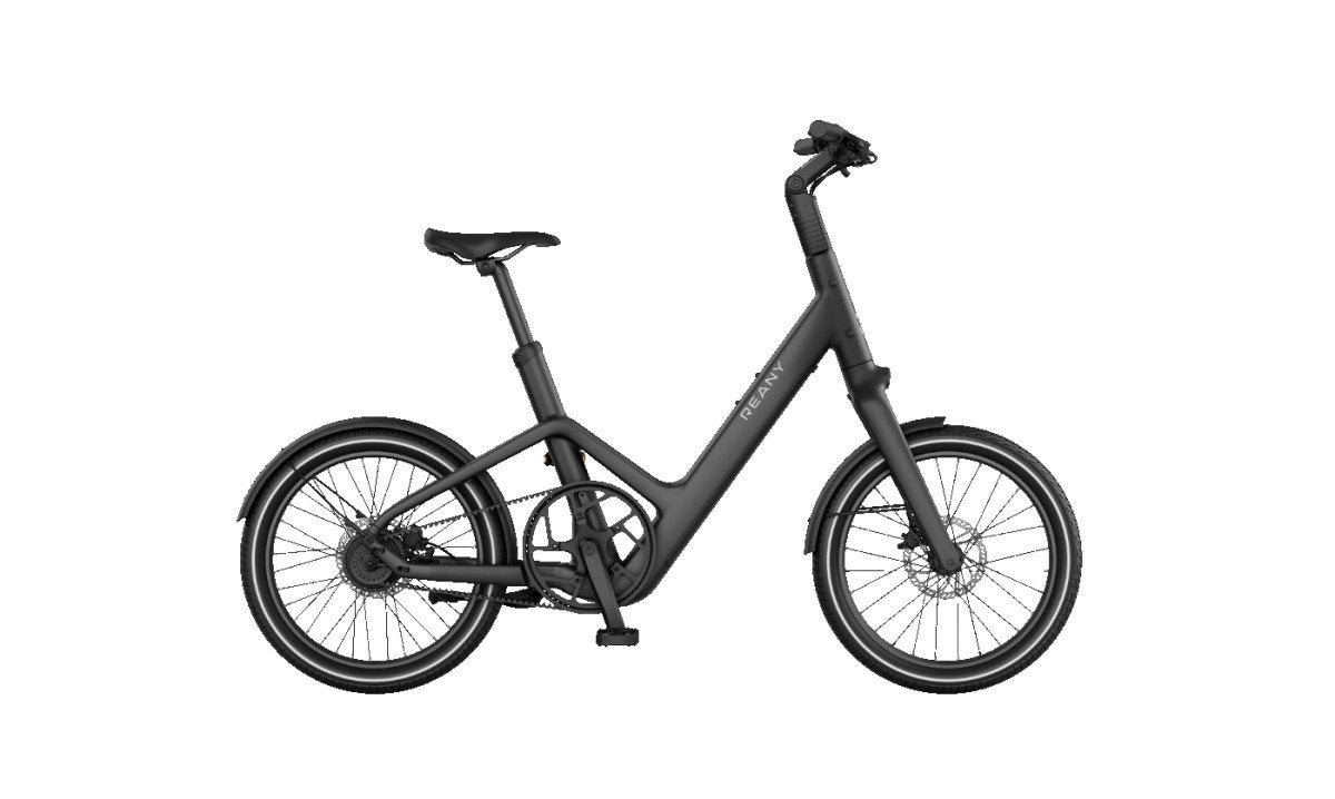 Reany C1 Compact