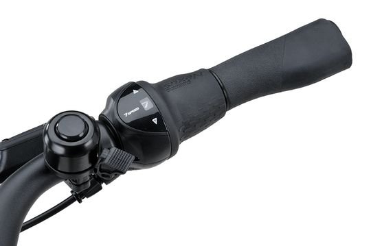 Batavus Altura PT N7 Dames