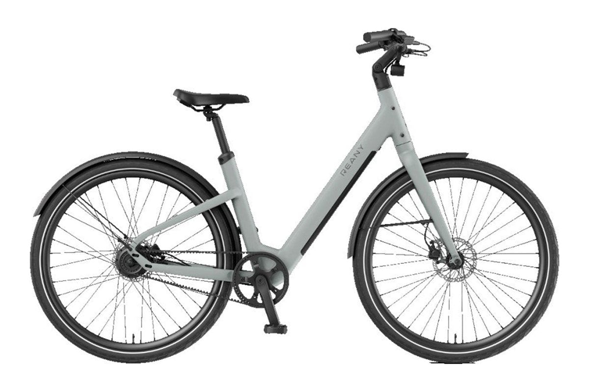 Reany V1 Vivo a